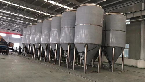 遼寧自動(dòng)化精釀啤酒設(shè)備 2000升廠家直銷與變形縫裝置